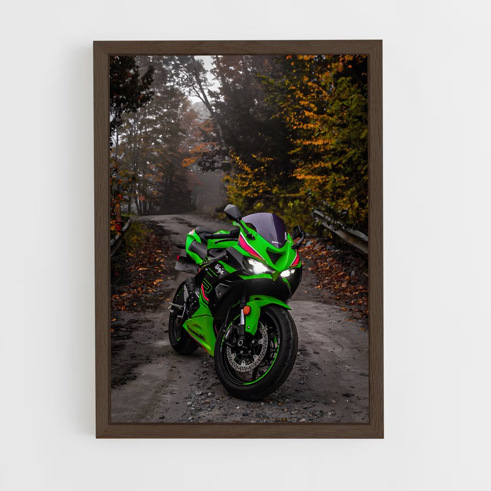Poster Roadster Vert (vue 5)